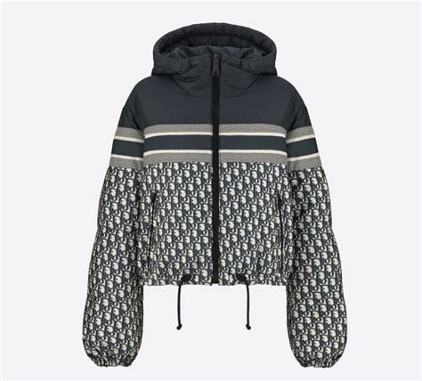 dior winter jacket womens|dior windbreaker jacket.